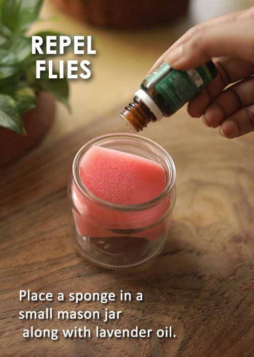 Направи си сам домашен естествен, нетоксичен репелент против насекоми, буболечки и комари