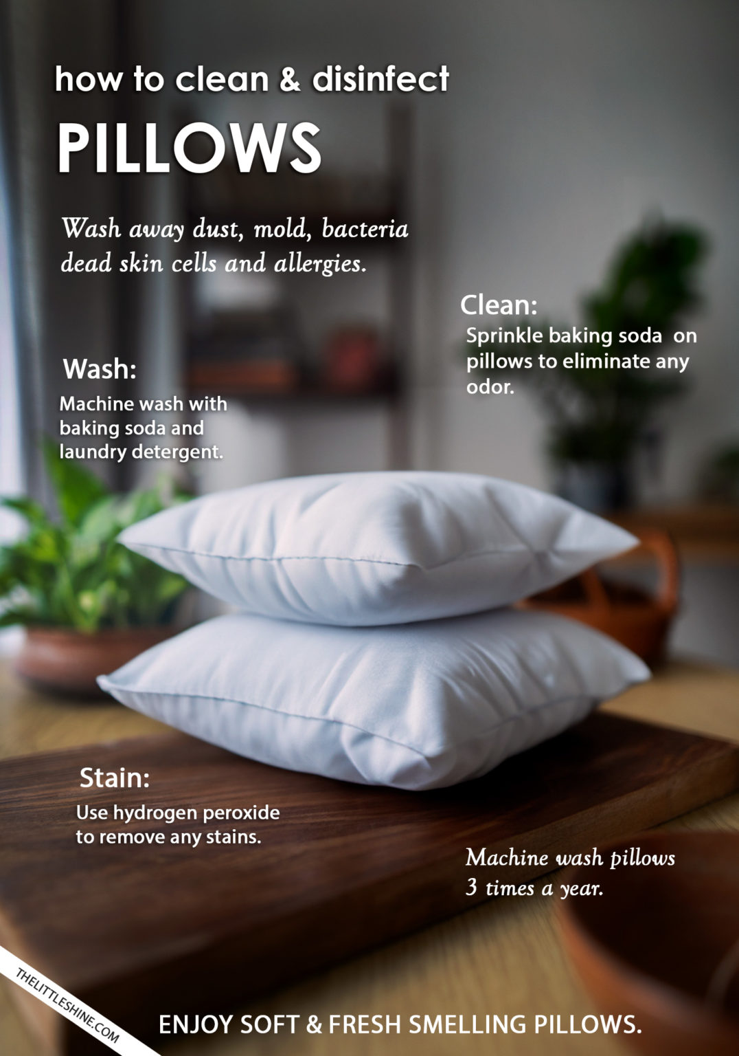 How to properly clean and disinfect pillows The Little Shine