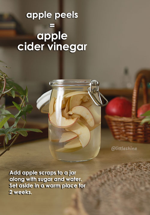 Make apple cider vinegar from apple peels and scraps.