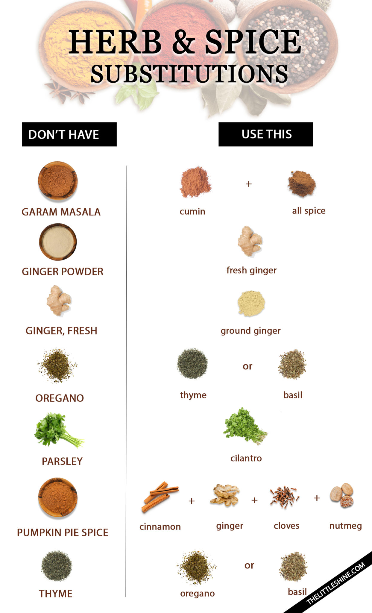 Herb and Spice Substitutions to use in your Cooking or Baking Recipes ...