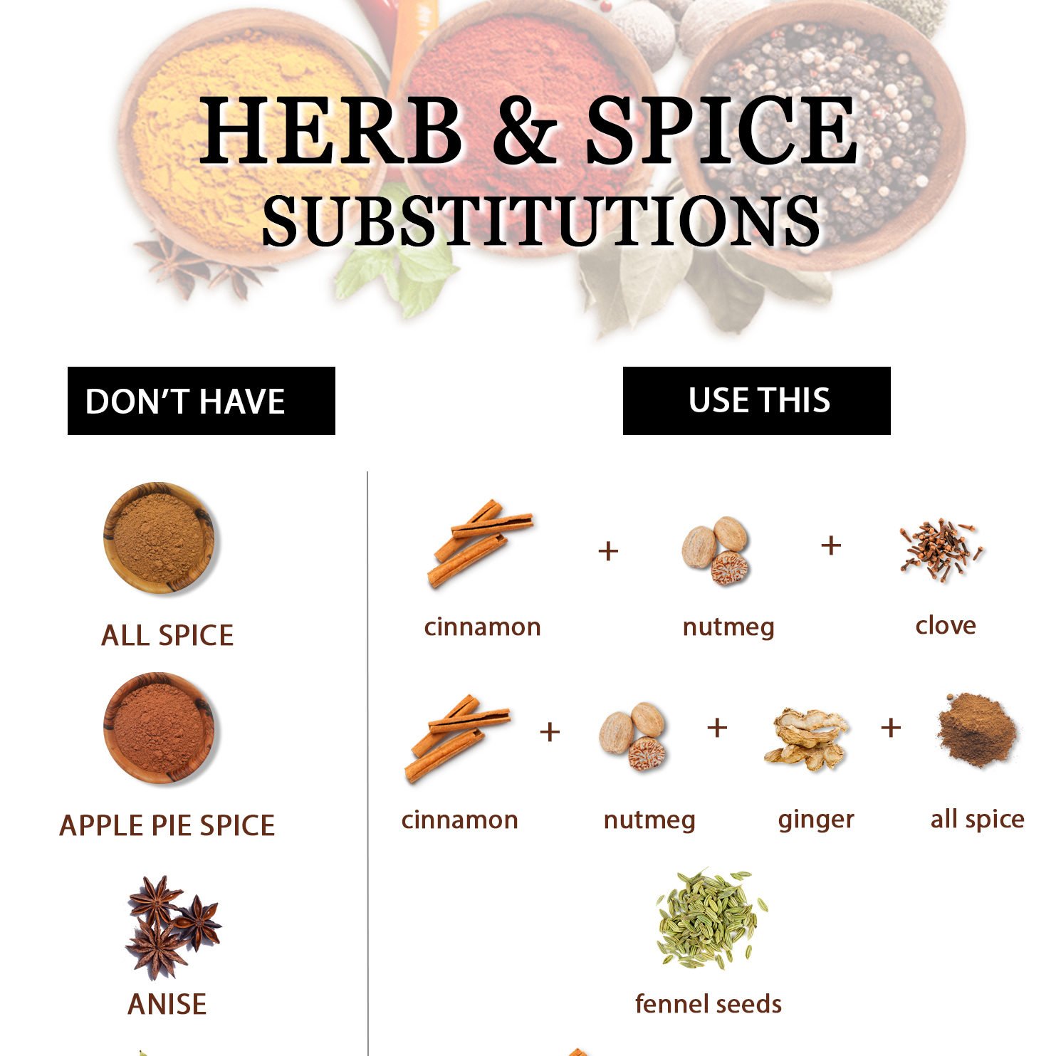 Herb and Spice Substitutions to use in your cooking or baking recipes