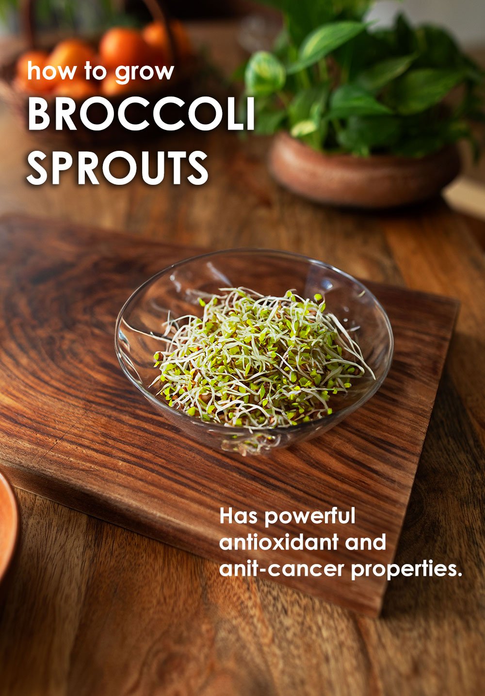 how to broccoli-seeds