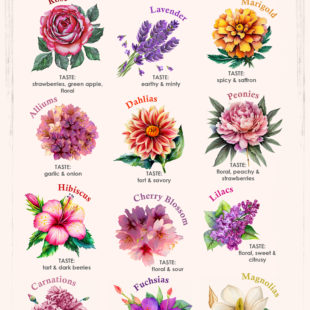 10 Types of Edible Flowers - Flavor and Ways to Use Them