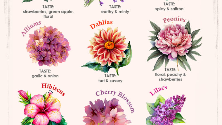 10 Types of Edible Flowers - Flavor and Ways to Use Them