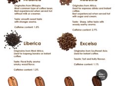 TYPES OF COFFEE BEANS