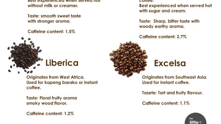 TYPES OF COFFEE BEANS