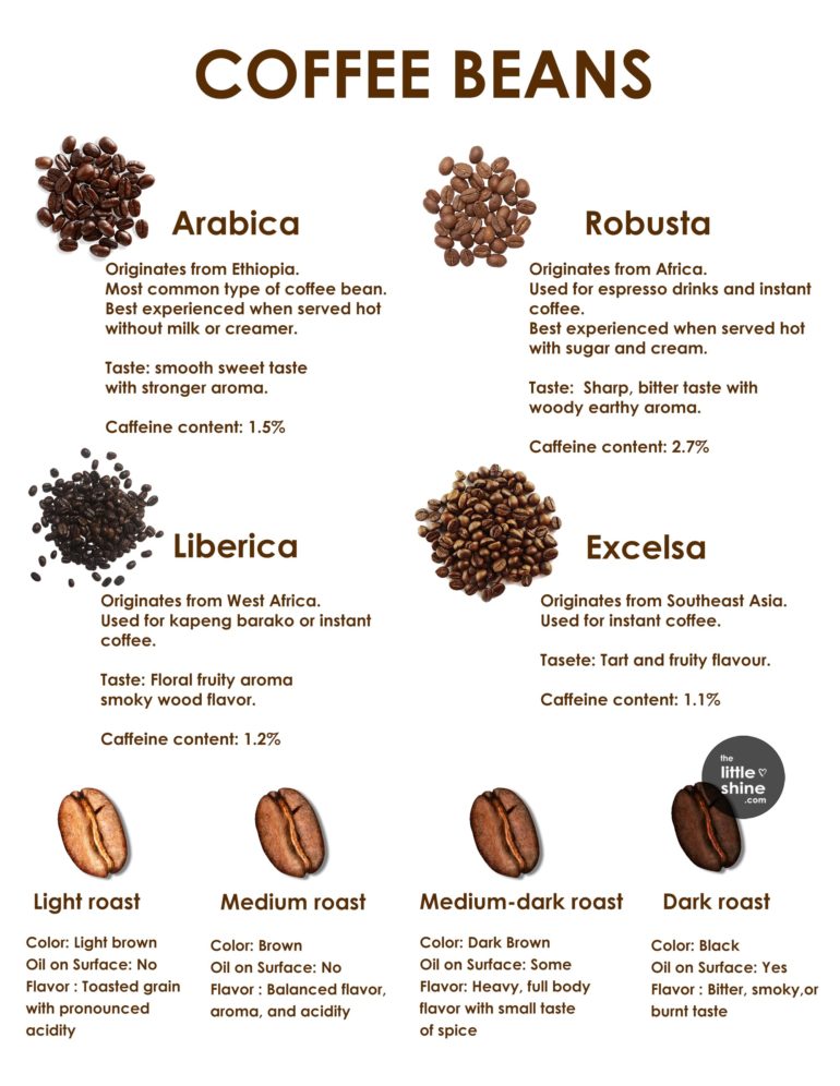 TYPES OF COFFEE BEANS - The Little Shine