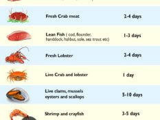 How Long Can Fish Stay in the Fridge and Freezer?