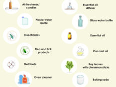 Most Toxic Household Items and their Alternatives