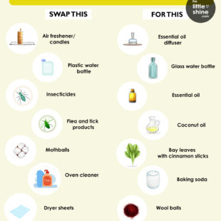 Most Toxic Household Items and their Alternatives