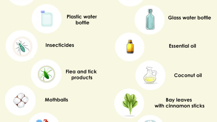 Most Toxic Household Items and their Alternatives
