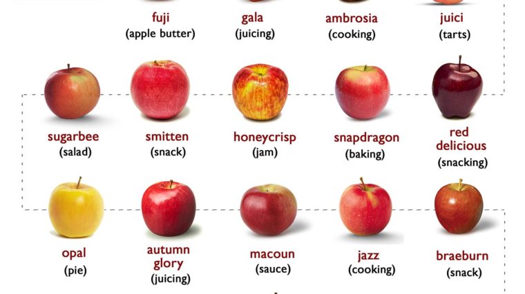 TYPES OF APPLES and USES