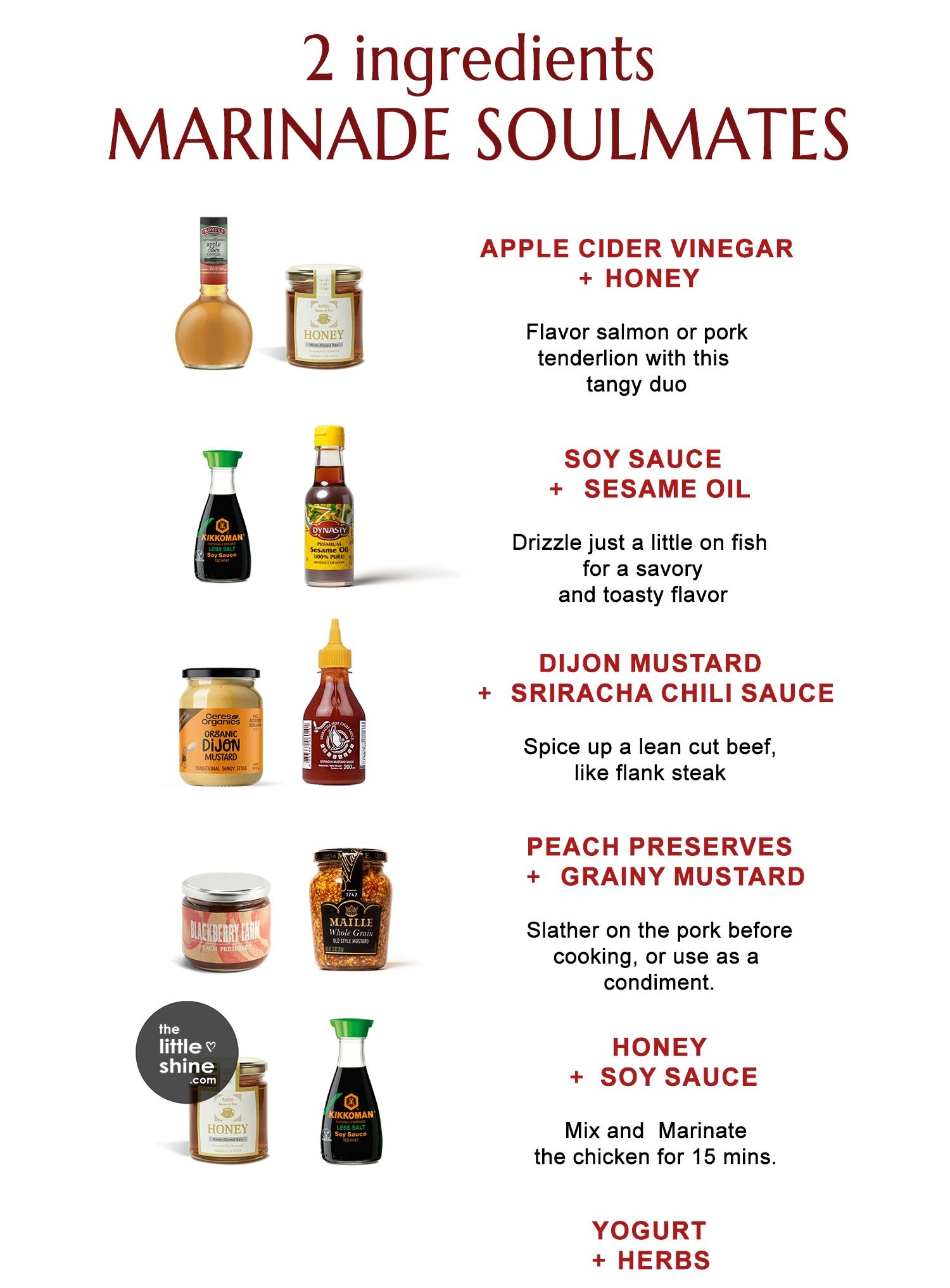 10 Types of Marinades using only 2 ingredients