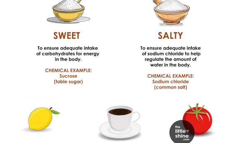 What Are The Five Basic Tastes?