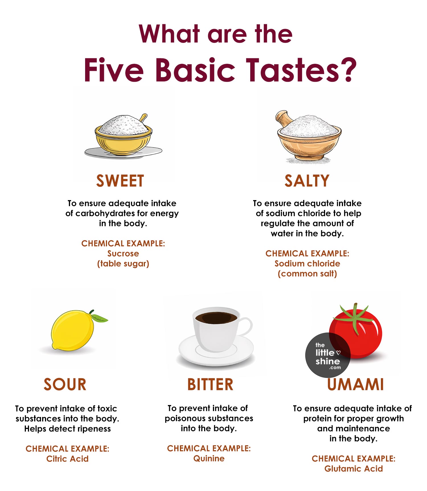 What Are The Five Basic Tastes?