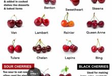 17 Types of Cherry - Uses and Benefits