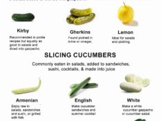 10 Types of Cucumbers and How to Use Them