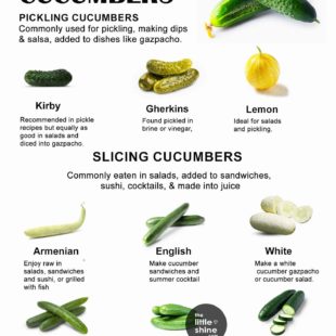 10 Types of Cucumbers and How to Use Them