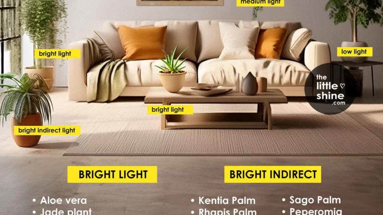 Guide to Plant Lighting