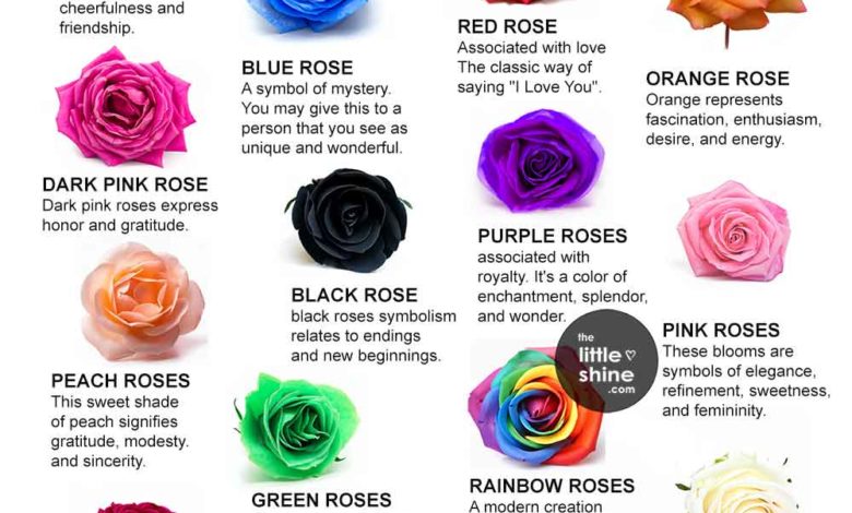 12 Rose Color Meanings You Should Know Before You Buy