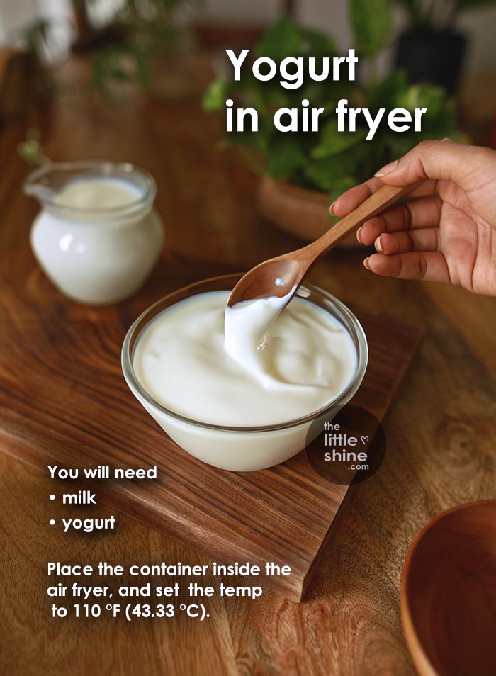yogurt-airfryer