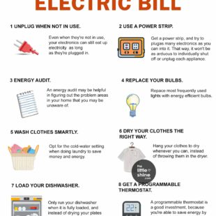 Ways to Lower Your Summer Electric Bills and Become More Green