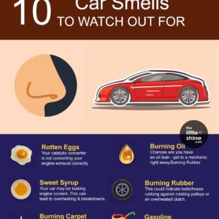 10 Car Smells to Watch Out For| Warning Signs