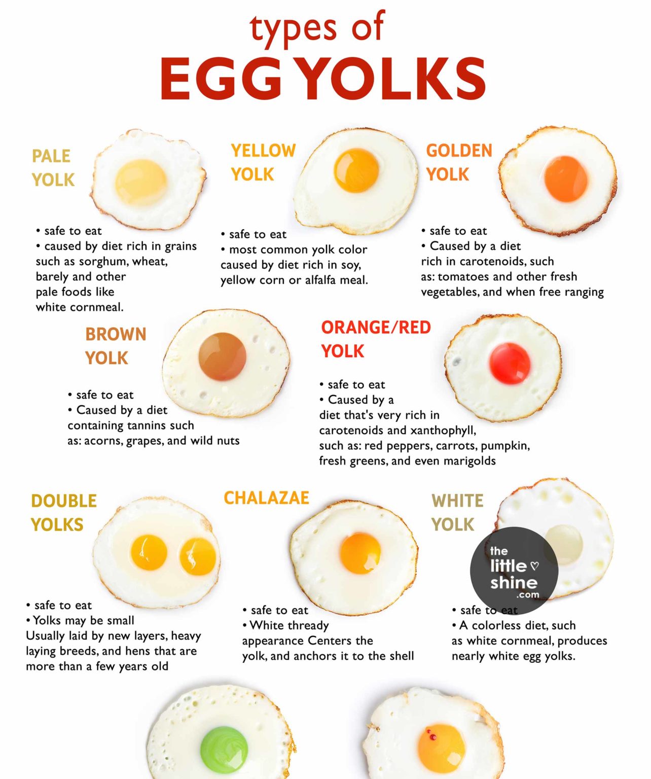 Egg Yolk Colors Chart - The Little Shine