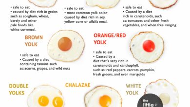 Egg Yolk Colors Chart
