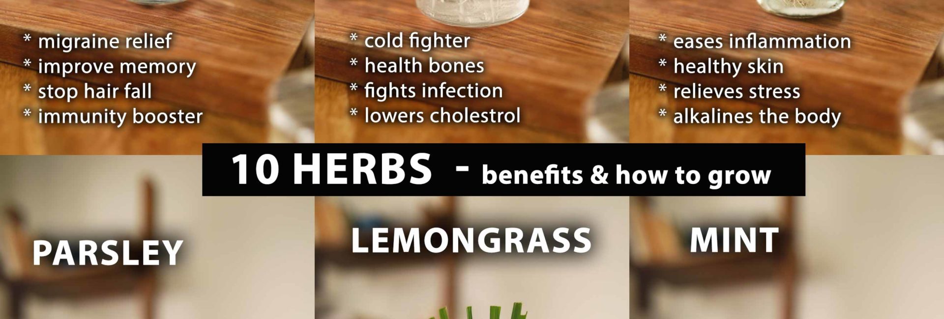 10 Herbs with Health and beauty Benefits