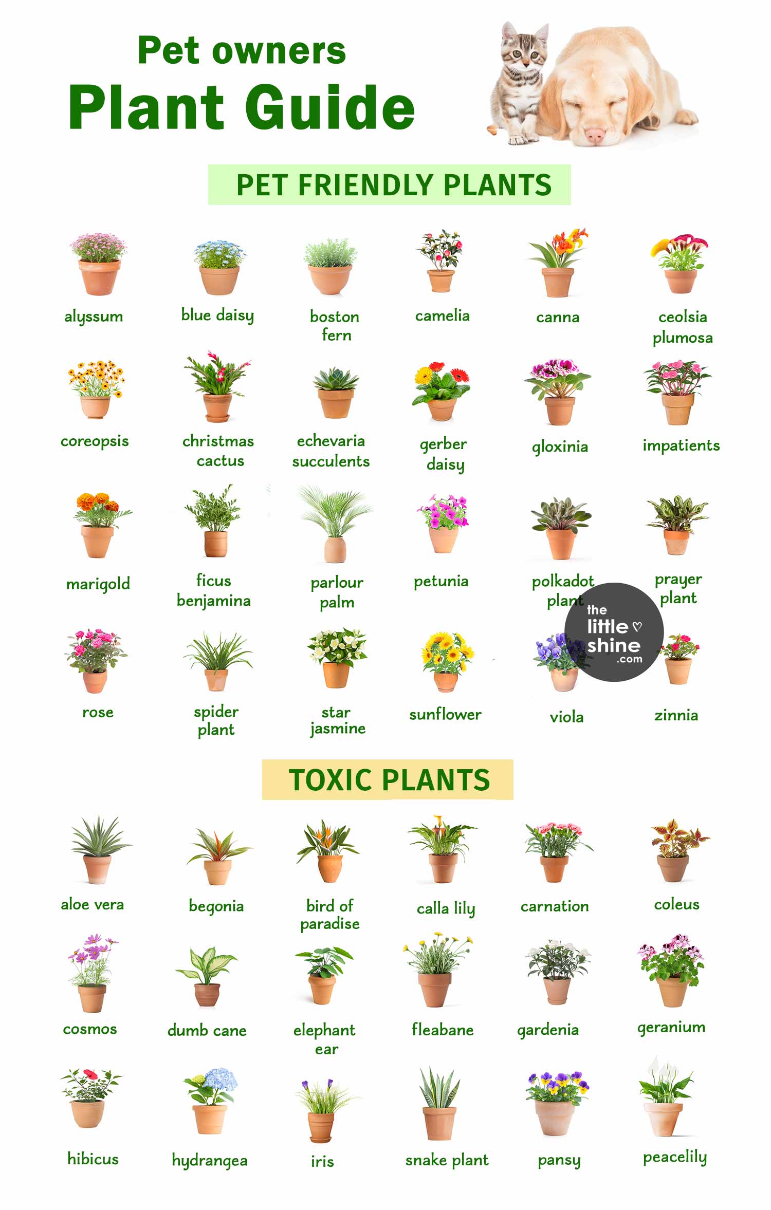 Plant Guide for Pet Owners
