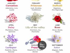 Birth Flowers by Month and Their Meanings