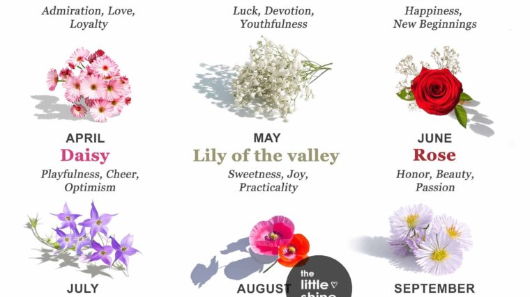 Birth Flowers by Month and Their Meanings