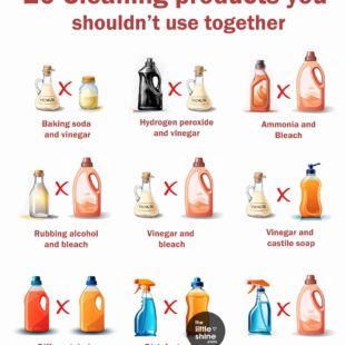 20 Household Cleaning Products You Should Never Mix Together