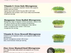 Microgreens - Benefits and How to Grow Microgreens at Home
