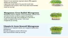 Microgreens - Benefits and How to Grow Microgreens at Home
