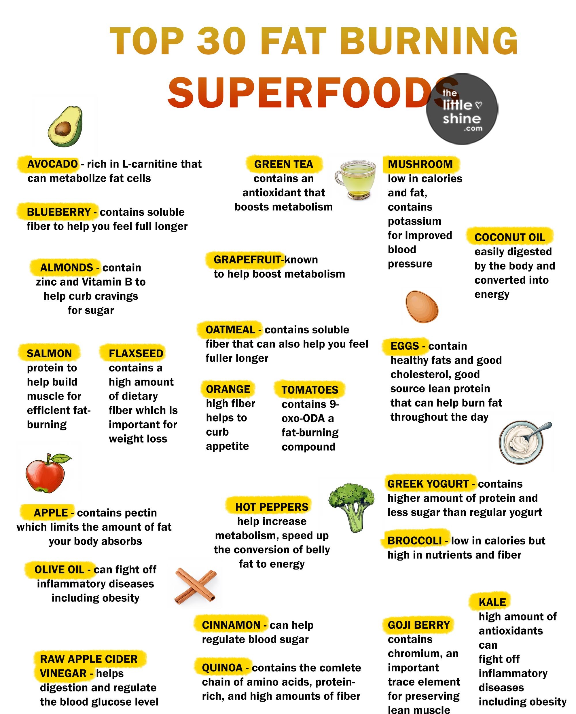 Top Best 30 Fat Burning Superfoods