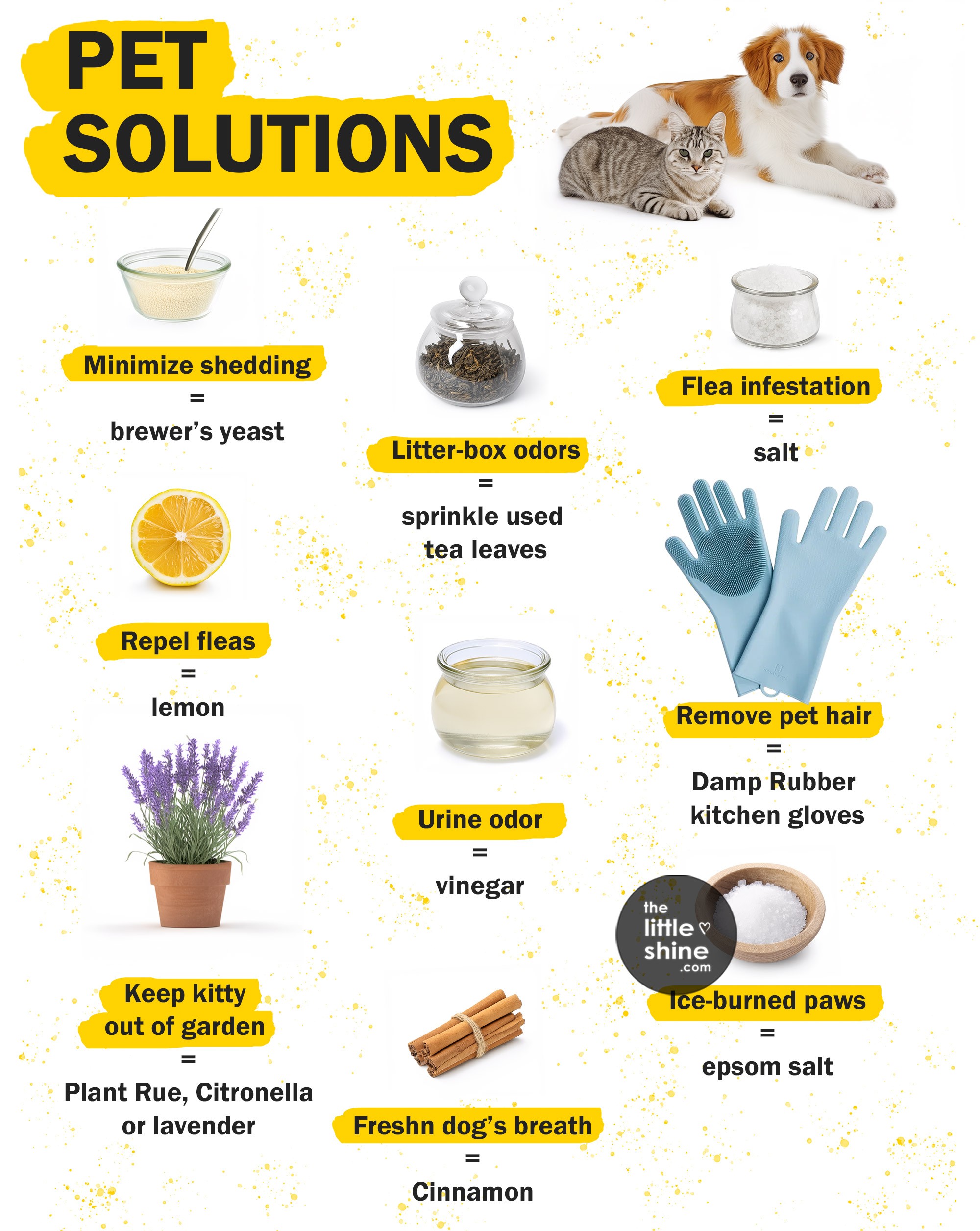 15 Smart Pet Solutions for Common Pet Problem