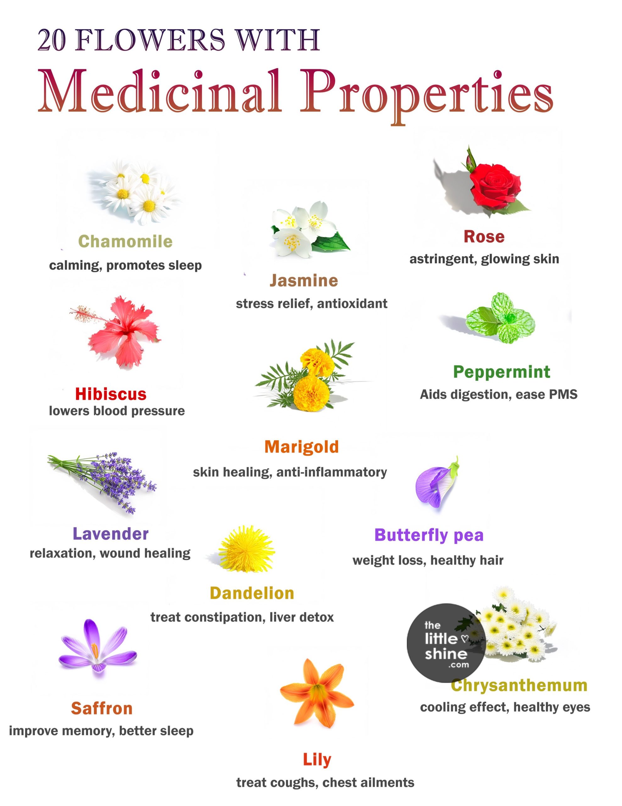 Healing Flowers - Flowers with Medicinal Properties