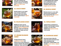 Different-Types-of-Honey