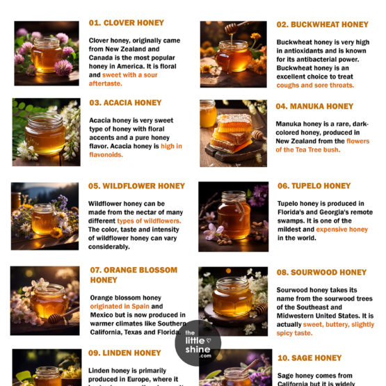 Different-Types-of-Honey