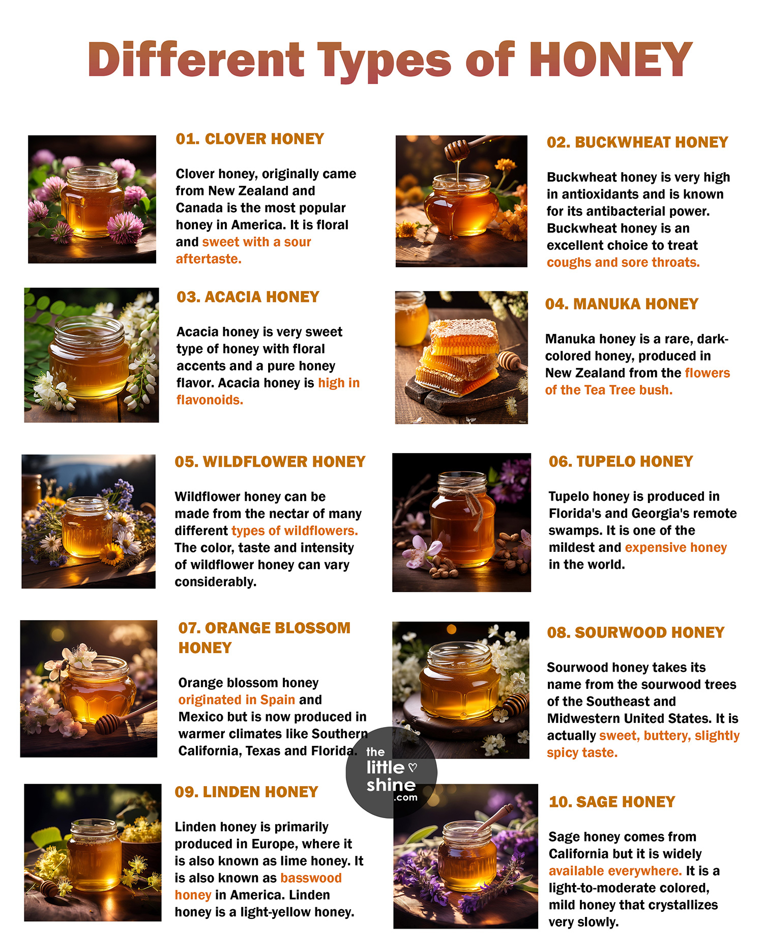 Different Types Of Honey 20 Types Of Honey With Flavor Benefits And 