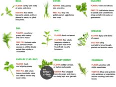 Cooking With Herbs - flavor and how to use