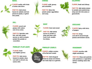 Cooking With Herbs - flavor and how to use