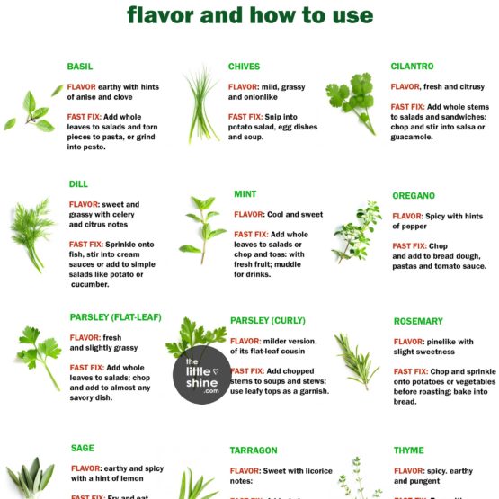 Cooking With Herbs - flavor and how to use