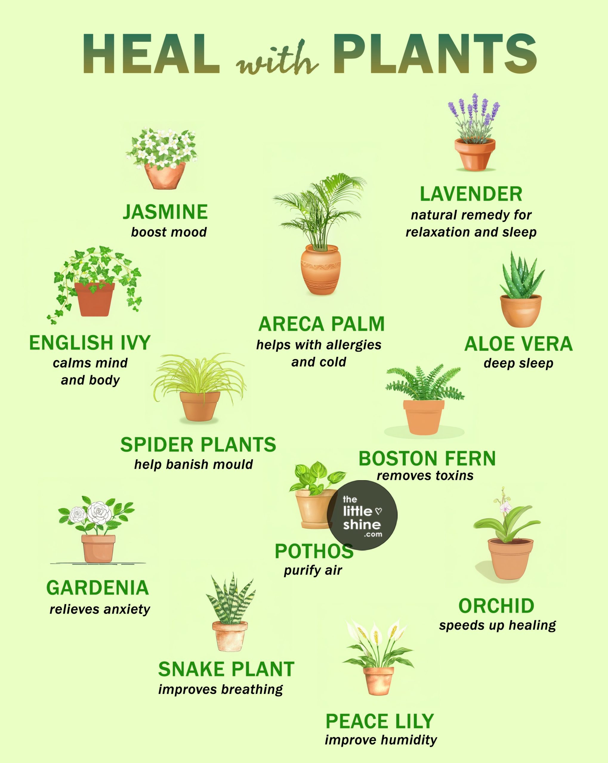 Natural Healing Plants