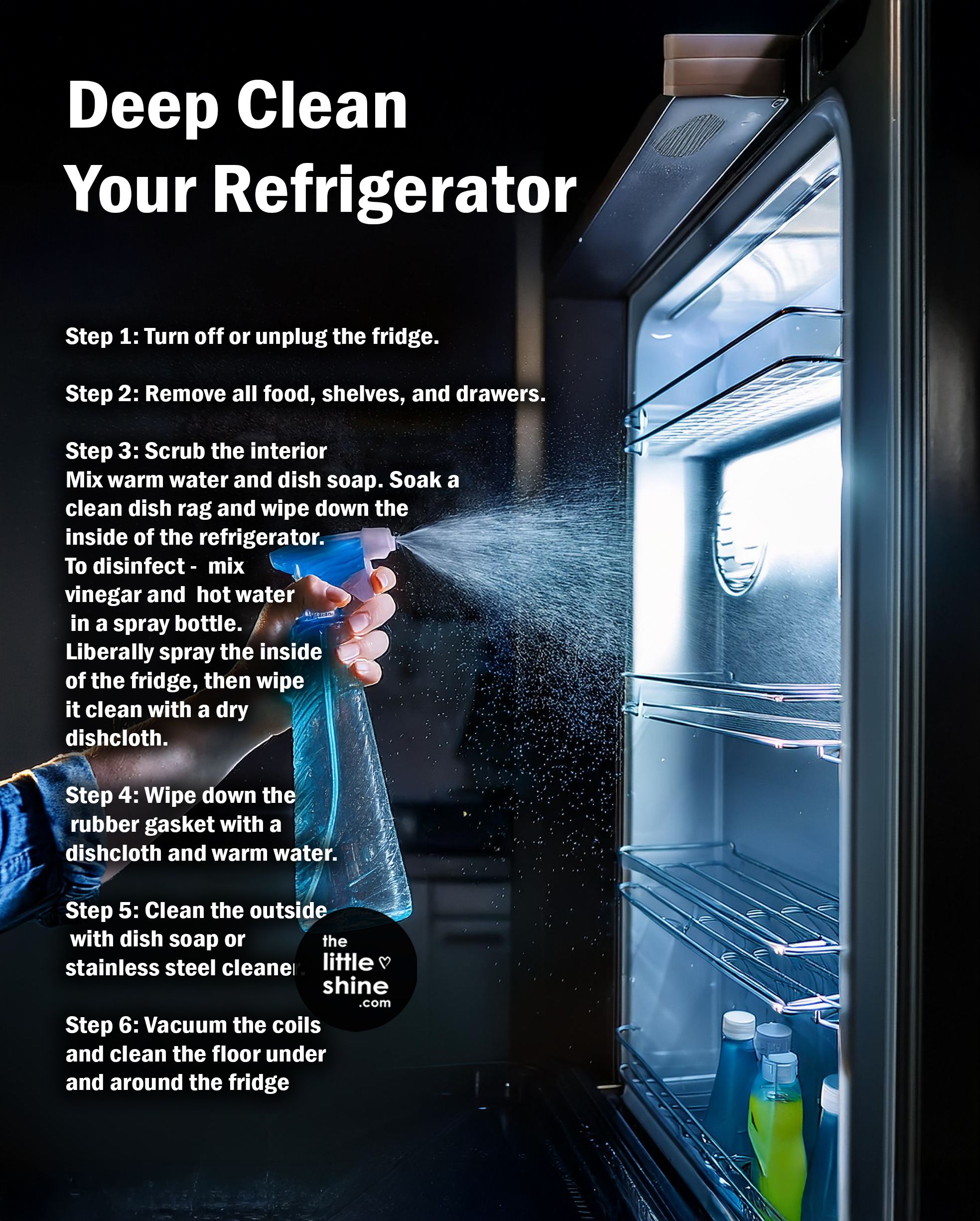 Deep clean Refrigerator