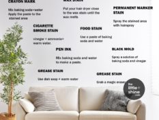 How to Clean a Painted Wall| 10 Different Types of Stains