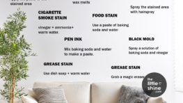 How to Clean a Painted Wall| 10 Different Types of Stains