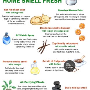 How to Keep Your House Smelling Fresh All the Time